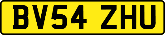 BV54ZHU