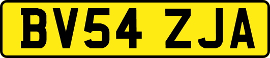 BV54ZJA