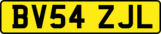 BV54ZJL