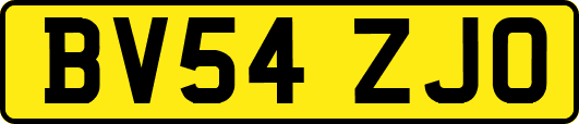 BV54ZJO