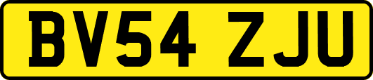 BV54ZJU