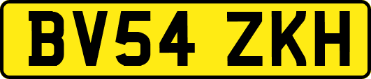 BV54ZKH
