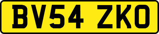 BV54ZKO