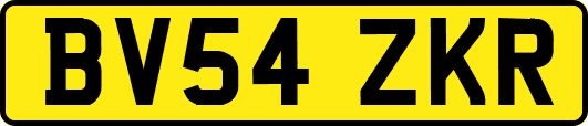 BV54ZKR