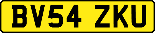 BV54ZKU