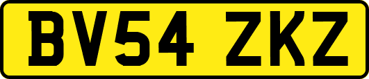 BV54ZKZ