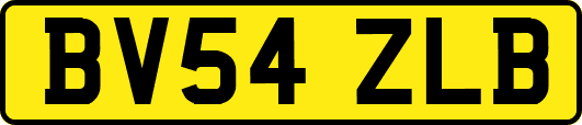 BV54ZLB