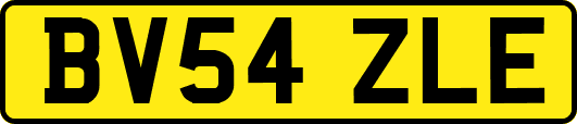 BV54ZLE