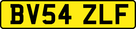 BV54ZLF