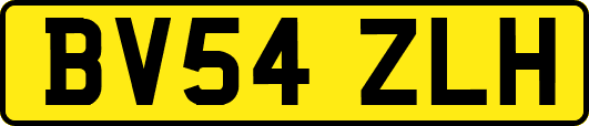 BV54ZLH
