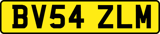 BV54ZLM