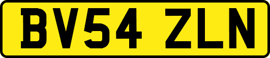 BV54ZLN