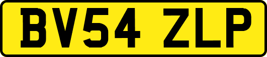 BV54ZLP
