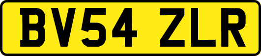 BV54ZLR