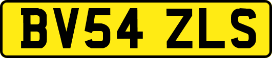 BV54ZLS