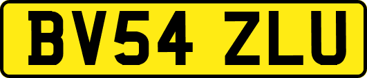 BV54ZLU