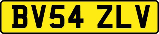 BV54ZLV