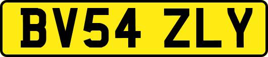 BV54ZLY