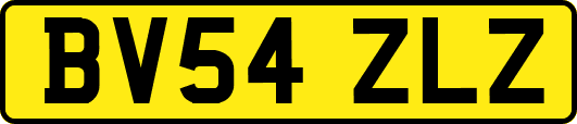 BV54ZLZ