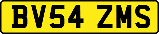 BV54ZMS