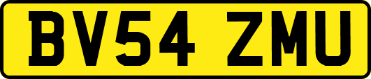 BV54ZMU
