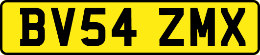 BV54ZMX