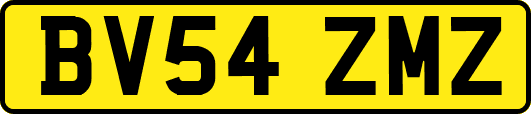 BV54ZMZ