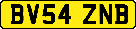 BV54ZNB