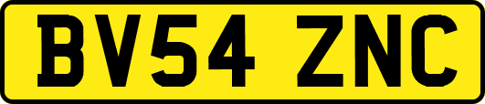 BV54ZNC