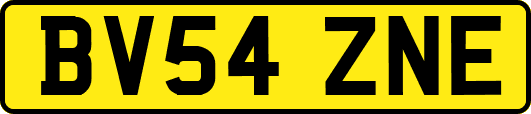BV54ZNE