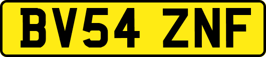 BV54ZNF