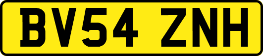 BV54ZNH