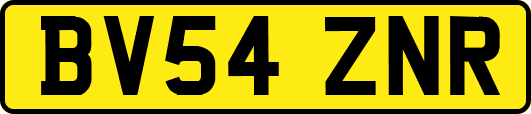 BV54ZNR