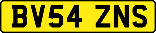 BV54ZNS