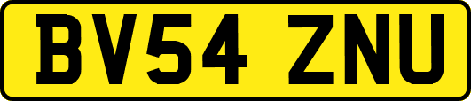 BV54ZNU