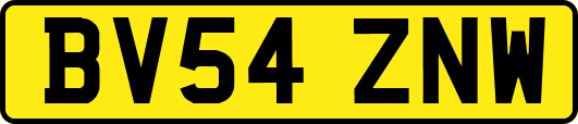 BV54ZNW
