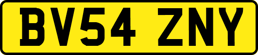 BV54ZNY