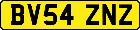 BV54ZNZ