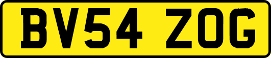 BV54ZOG