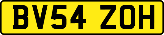 BV54ZOH