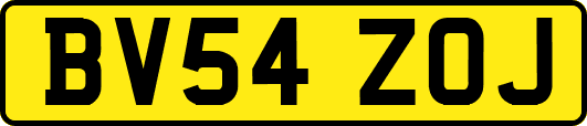 BV54ZOJ