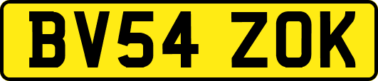 BV54ZOK