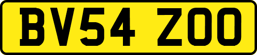 BV54ZOO
