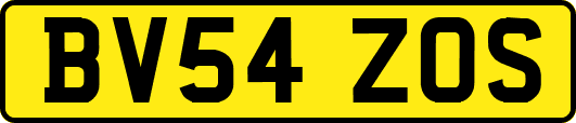 BV54ZOS