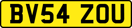 BV54ZOU