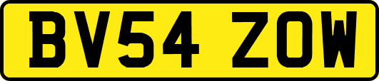 BV54ZOW