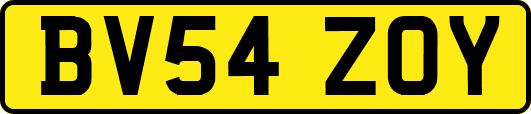 BV54ZOY