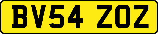 BV54ZOZ