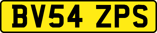 BV54ZPS