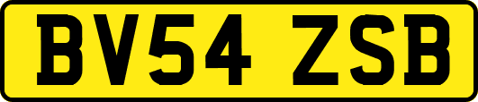BV54ZSB